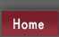 Home Page Link
