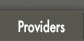 Providers Page Link Button for Provider Only Portal Access