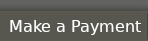 Payment Portal Link Button to Pay Online