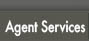 Agent Page Link Button for Agent Only Access